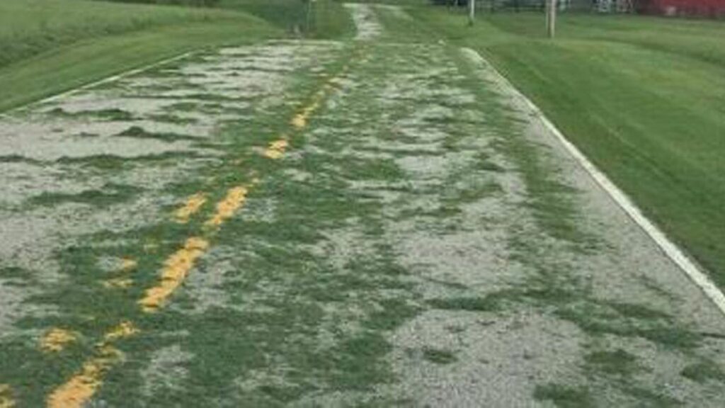 Do Grass Clippings Cause Motorcycle Accidents? 5 img 647839eb16fec